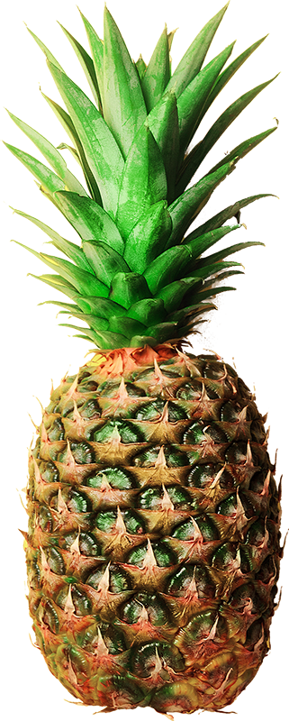 pineapple