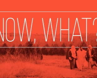 Now, What?
